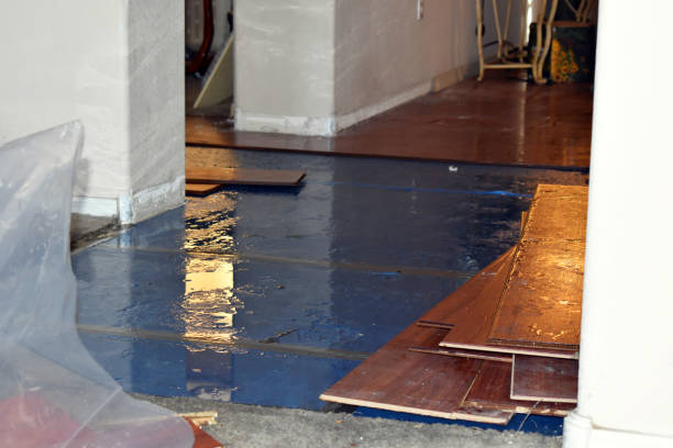 Professional Basement Flood Cleanup technician working in Newbury, NH